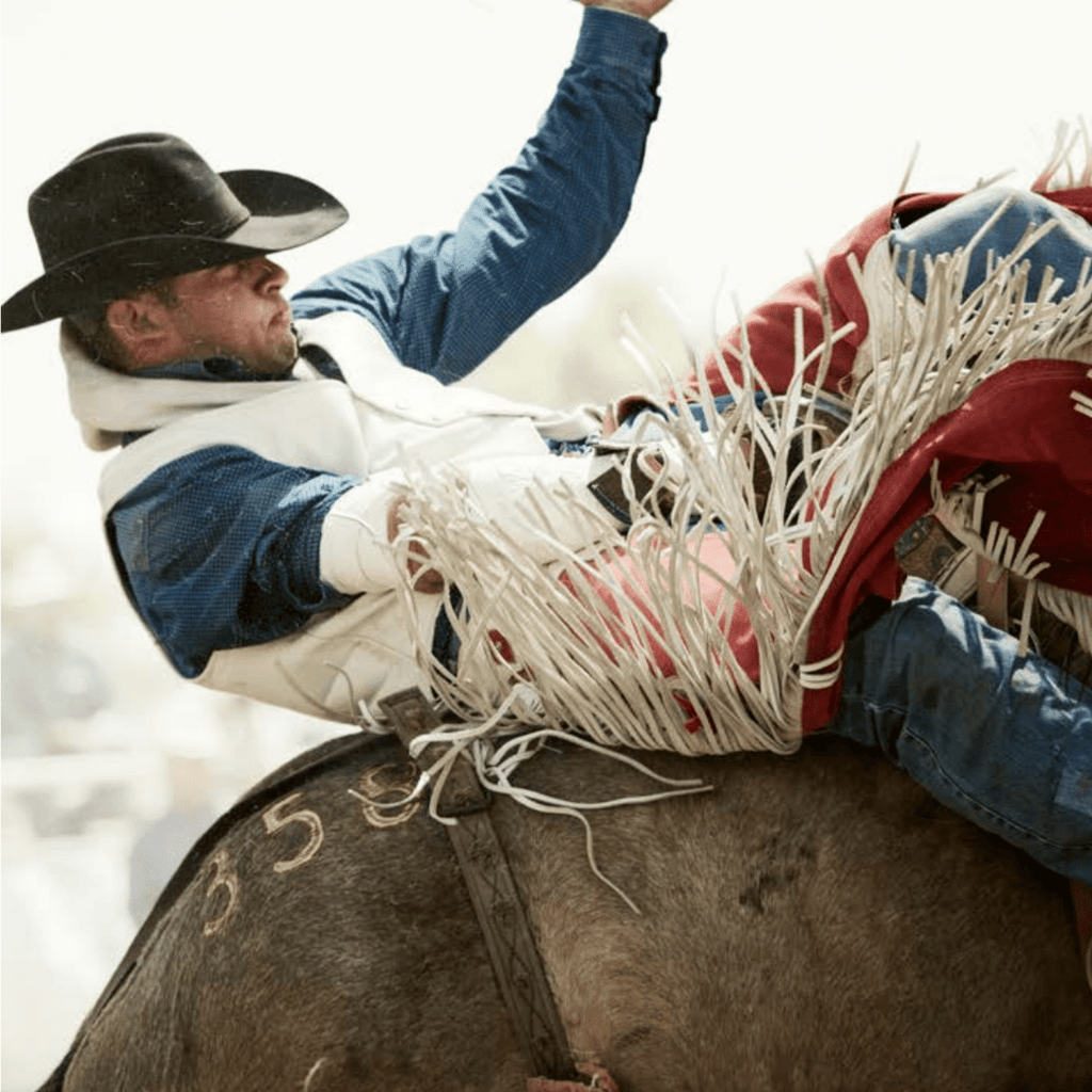 Ride'm-Montana Arte y Hogar