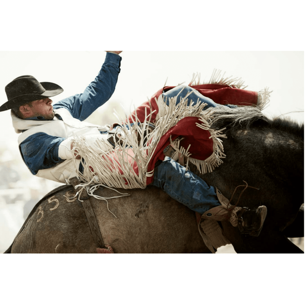 Ride'm-Montana Arte y Hogar