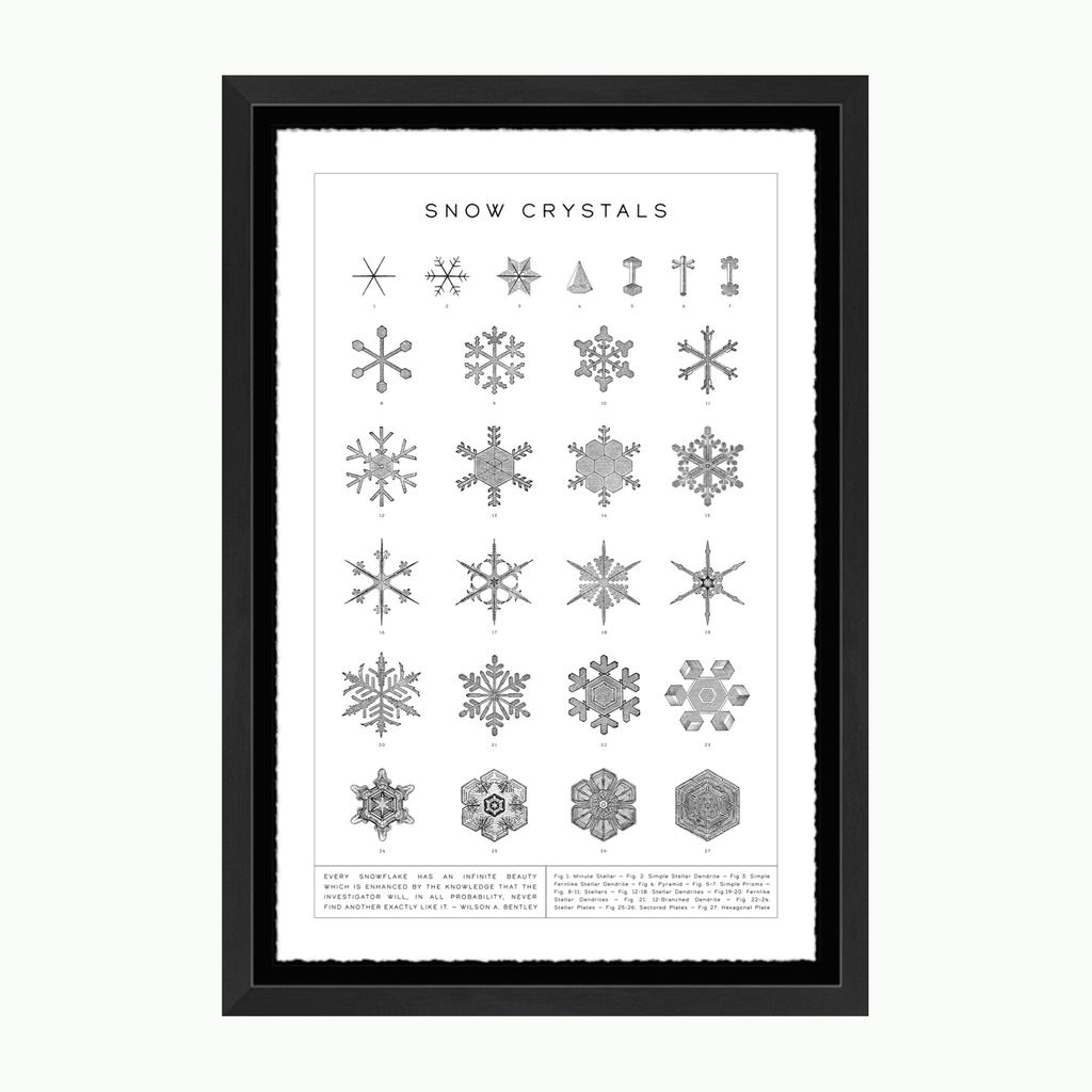 Gráfico Cristal de Nieve-Arte-Montana Arts & Home