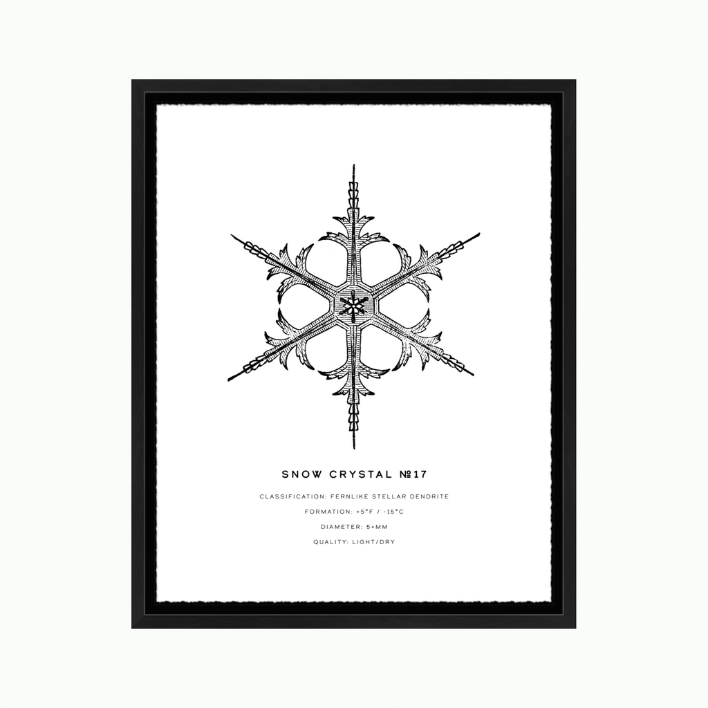 Cristal de nieve #17-Arte-Montana Arts & Home