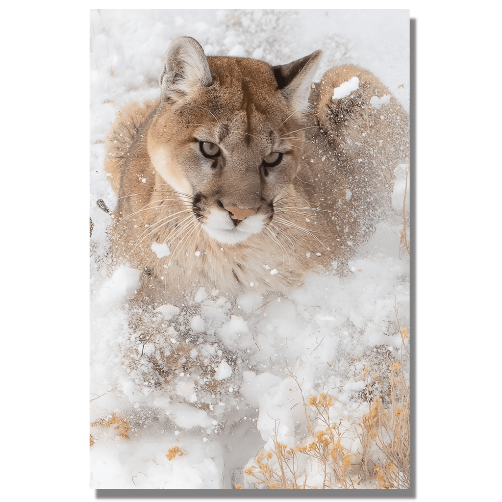 Snow Cat-Art-Montana Arte y Hogar